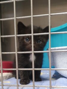 videocapture 20200920 104620