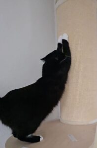 lv 0 202510291647571799601931154432814.jpg