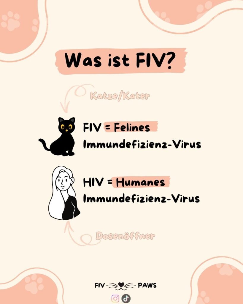 FIV Positiv Übersicht Schaubild