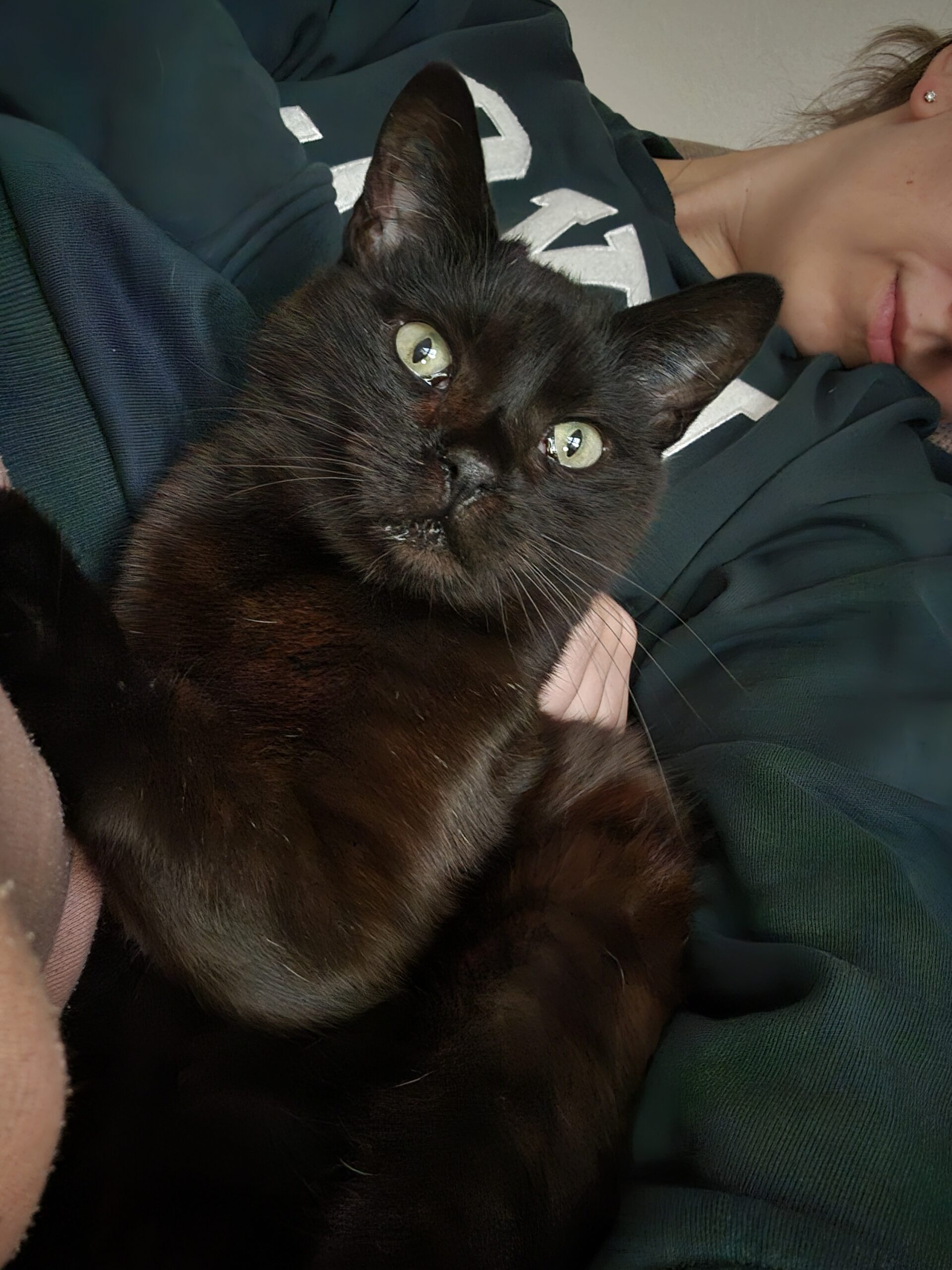 Schwarze Katze auf dem Arm einer Frau