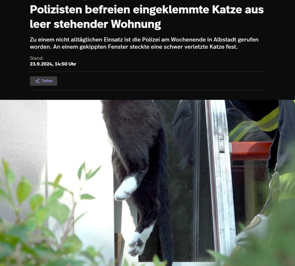 screenshot 2026 01 05 113408